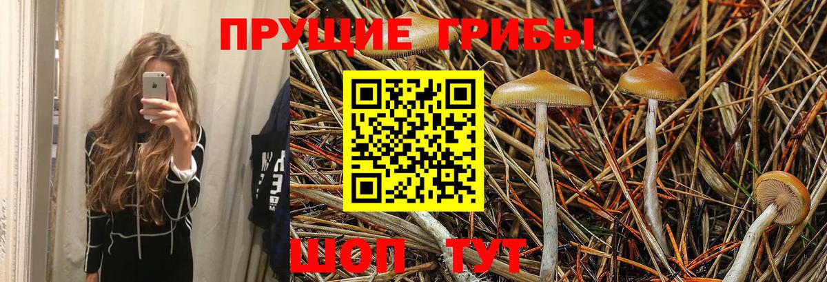 Псилоцибиновые грибы мухоморы  Вход с VPN  наркота  Волжский 